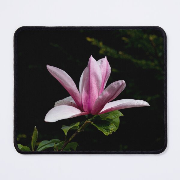 Item preview, Magnolia flower designed and sold by Philip Butler.