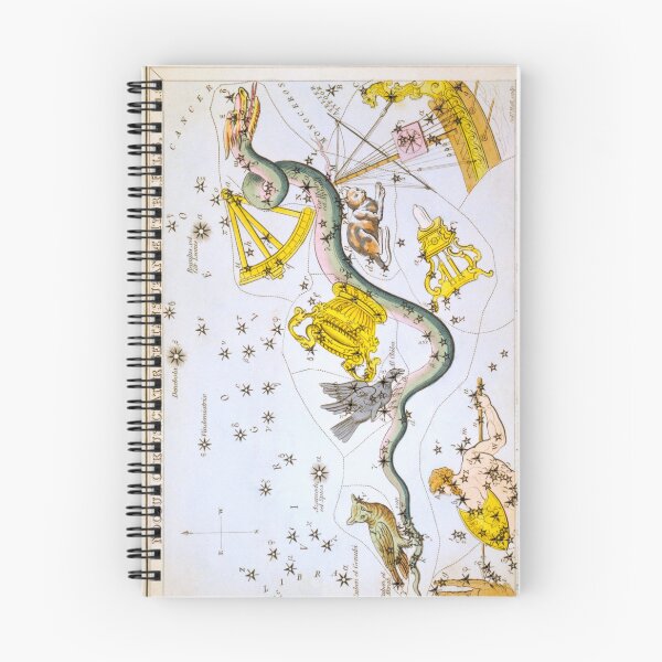 Item preview, Antique Noctua, Corvus, Crater, Sextans Uraniae, Hydra, Felis, Lupus, Centaurus, Antlia Pneumatica, Argo Navis, and Pyxis Nautica Constellations Map  designed and sold by jadeandjester.