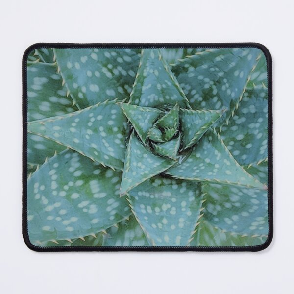 Item preview, Aloe Maculata Arctic designed and sold by PLANTONE.