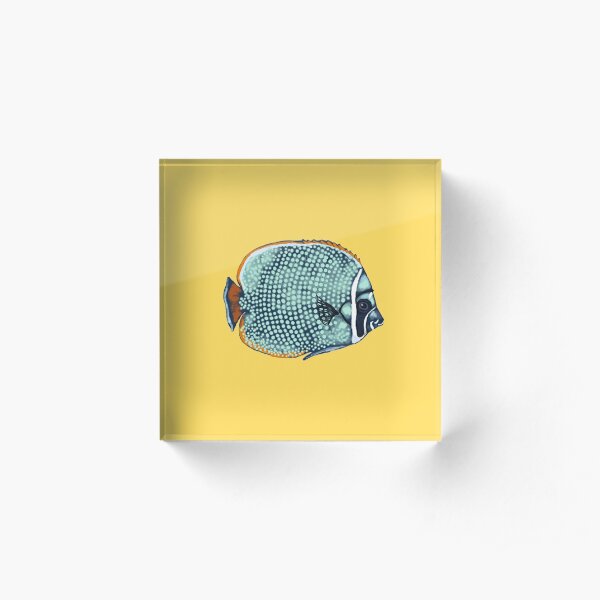 Butterflyfish, coral reef fish, underwater, nautical Acrylic Block