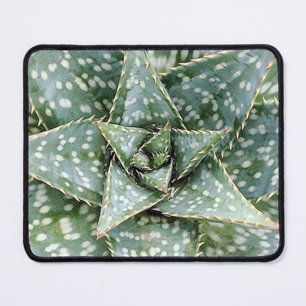 Item preview, Aloe Maculata Enhanced designed and sold by PLANTONE.