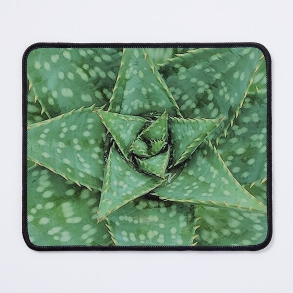 Item preview, Aloe Maculata Neo designed and sold by PLANTONE.