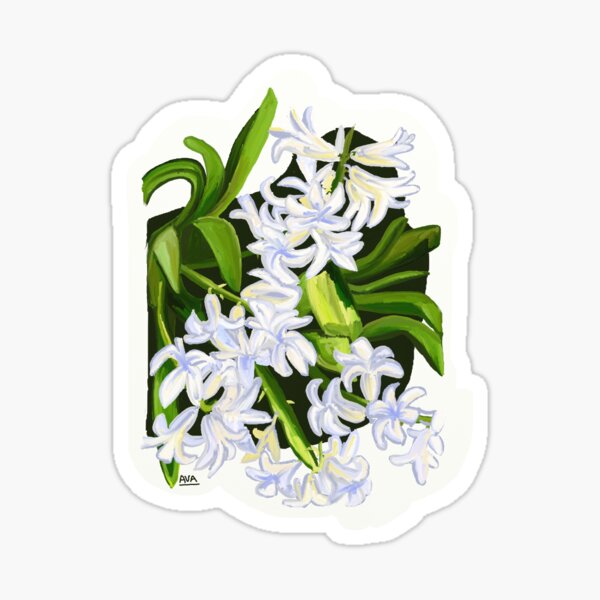 White Hydrangeas Sticker