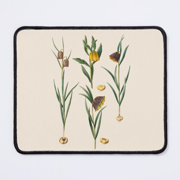 Item preview, Fritillaries botanical illustration designed and sold by ArtCenturies.