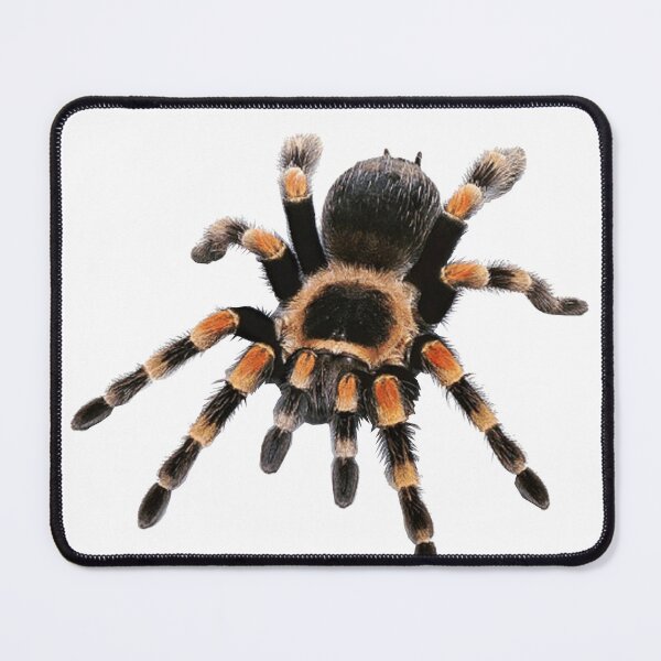 Item preview, little spider, tarantula, spider designed and sold by Viktoriia Trubiichuk.