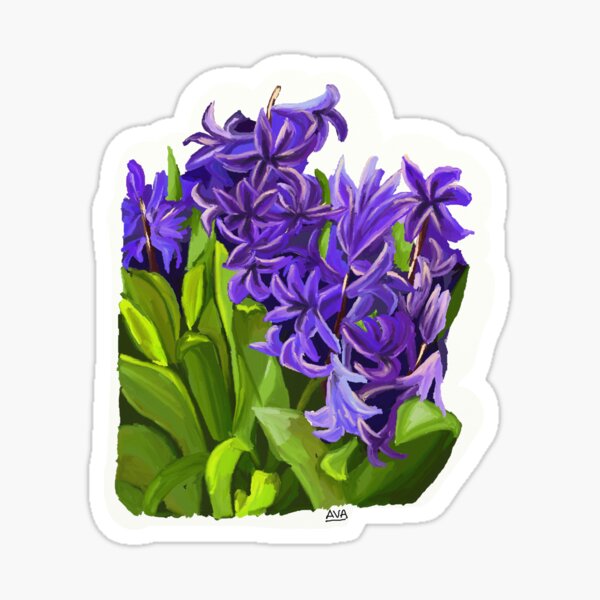 Purple Hydrangeas Sticker