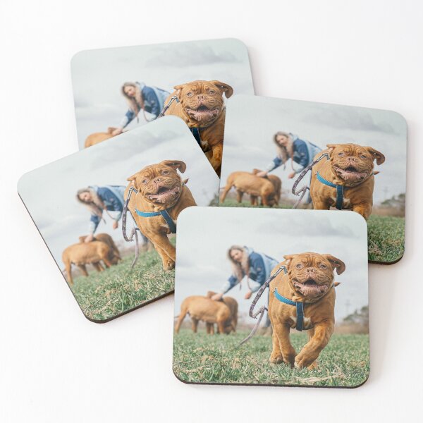Item preview, French Mastiff - Dogue de Bordeaux - Bordeaux Mastiff - Bordeaux Bulldog designed and sold by crewmember.