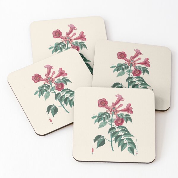 Item preview, Campsis botanical illustration  designed and sold by ArtCenturies.