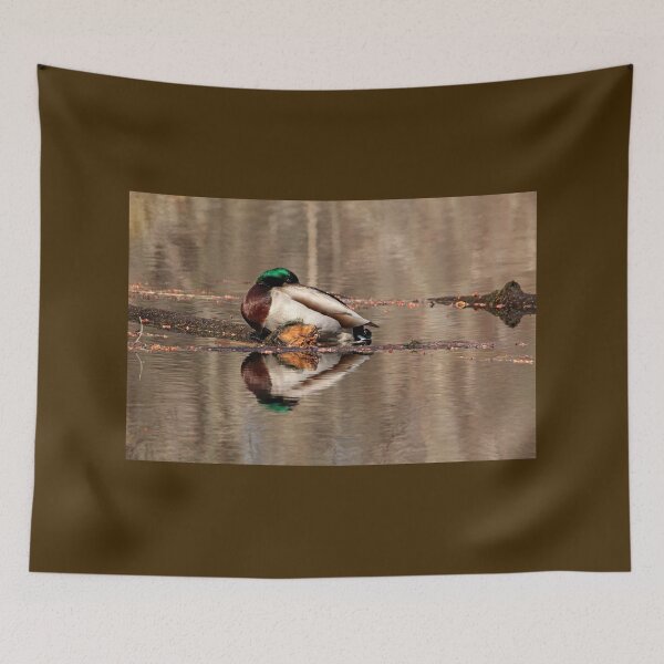 Item preview, Sleepy Mallard designed and sold by Debbie Oppermann.
