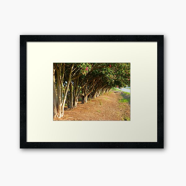 Item preview, Tree Line designed and sold by WildestArt.