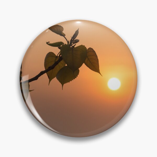 Item preview, Dreamy Lakeside Sunrise - Poplar Branch Pointing Towards the Sun designed and sold by Georgia Mizuleva.