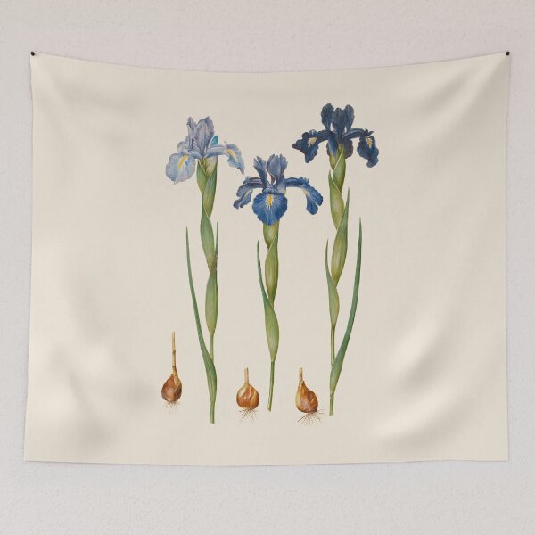 Item preview, Irises botanical illustration  designed and sold by ArtCenturies.