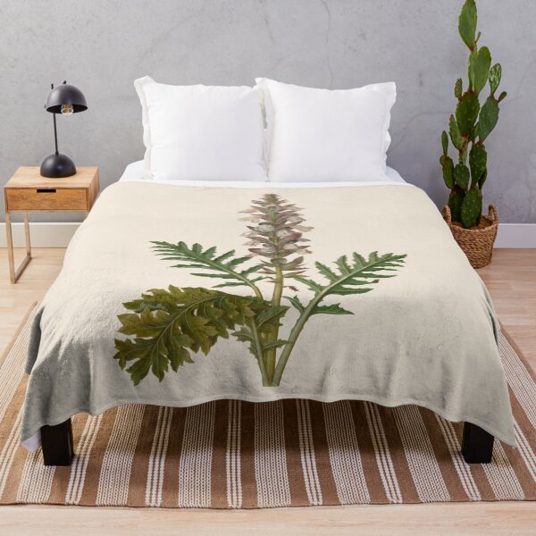 Item preview, Acanthus botanical illustration designed and sold by ArtCenturies.