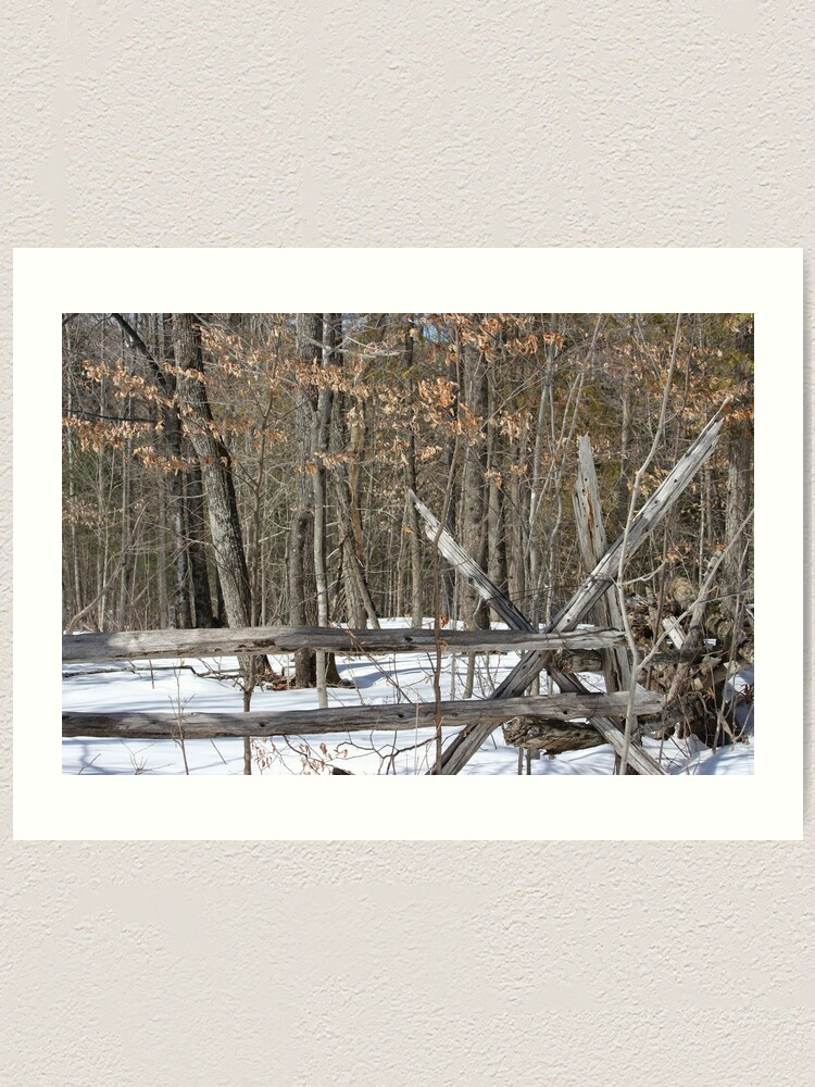 Alternate view of March Walk Art Print