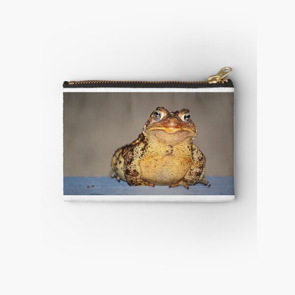 Item preview, a personable toad designed and sold by Laurie Minor.