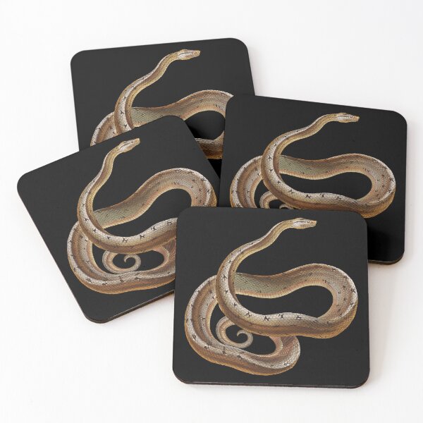 Item preview, Snake Reptile Dusky Dwarf Boa Cuban Wood designed and sold by stuartsemporium.