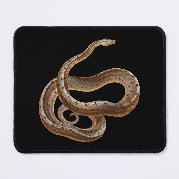 Item preview, Snake Reptile Dusky Dwarf Boa Cuban Wood designed and sold by stuartsemporium.