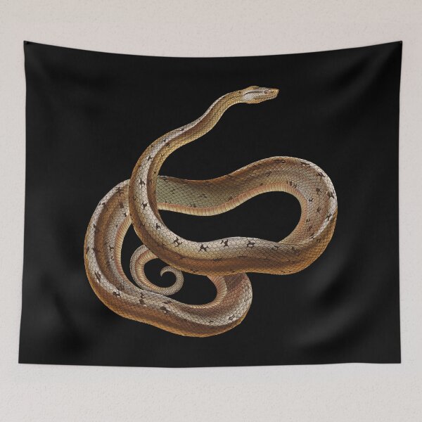 Item preview, Snake Reptile Dusky Dwarf Boa Cuban Wood designed and sold by stuartsemporium.