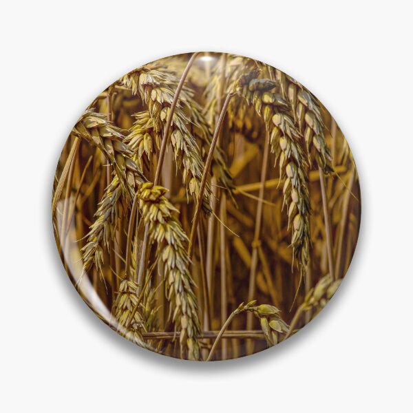 Item preview, fwc 0726 wheat designed and sold by fred chiea.