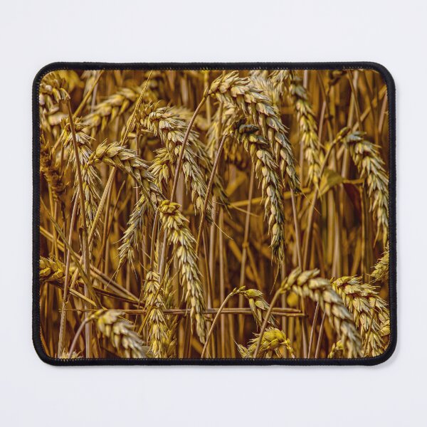 Item preview, fwc 0726 wheat designed and sold by fred chiea.