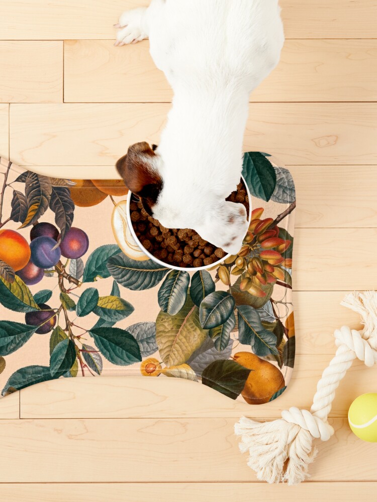 Discover Fruit Vintage  - Pet bowl mat