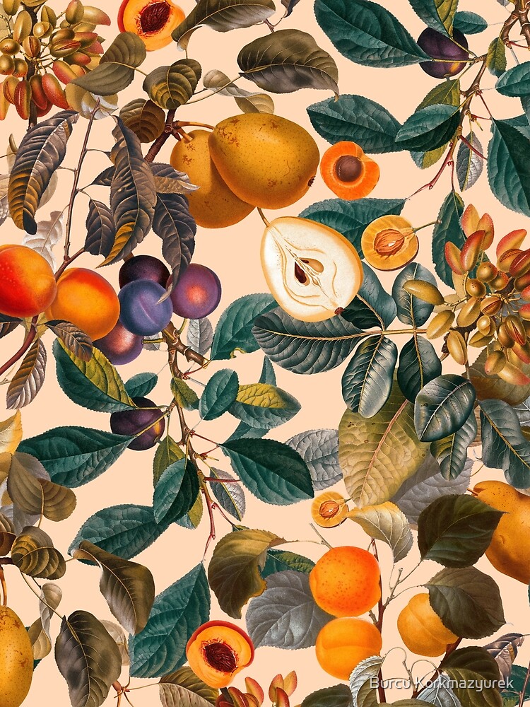 Vintage Fruit Pattern IX by burcukyurek