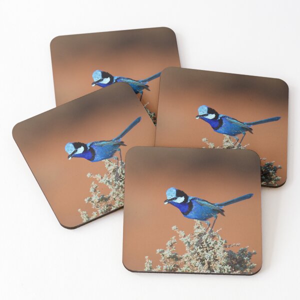 Item preview, Splendid Fairywren designed and sold by DiomediaDesigns.