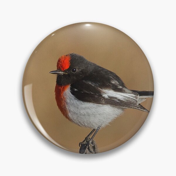 Item preview, Red capped Robin designed and sold by DiomediaDesigns.
