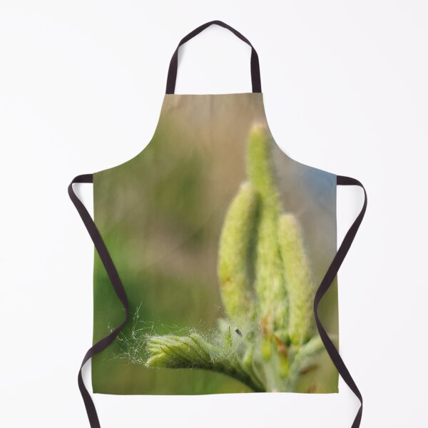 Item preview, New shoots of willow trees along the Yeongsan River next to the Sports Complex in Buk-gu, Gwangju,korea designed and sold by human8891.