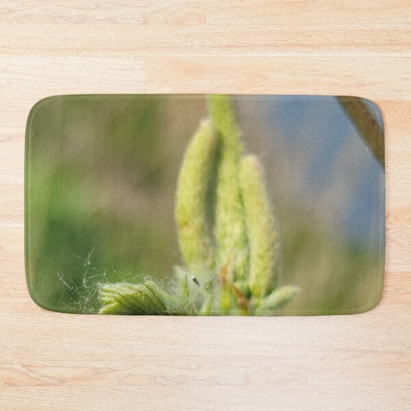 Item preview, New shoots of willow trees along the Yeongsan River next to the Sports Complex in Buk-gu, Gwangju,korea designed and sold by human8891.