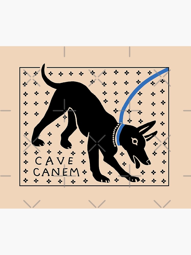 CAVE CANEM by flaroh