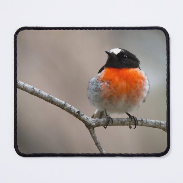 Item preview, Scarlet Robin designed and sold by DiomediaDesigns.