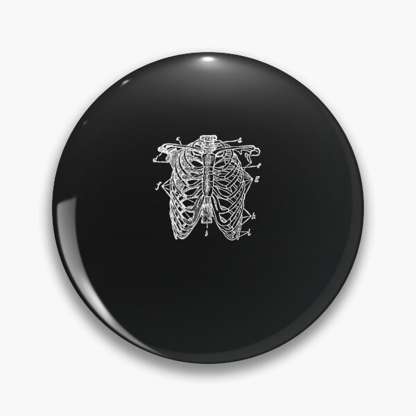 Item preview, Rib Cage Skeleton Diagram  Essential designed and sold by habigasrei.