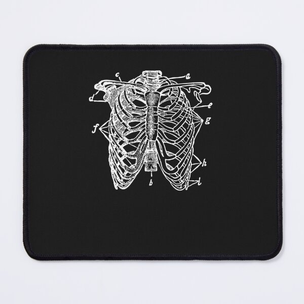 Item preview, Rib Cage Skeleton Diagram  Essential designed and sold by habigasrei.