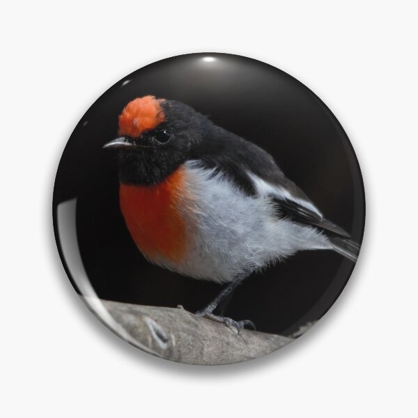 Item preview, Spotlit Red capped Robin designed and sold by DiomediaDesigns.