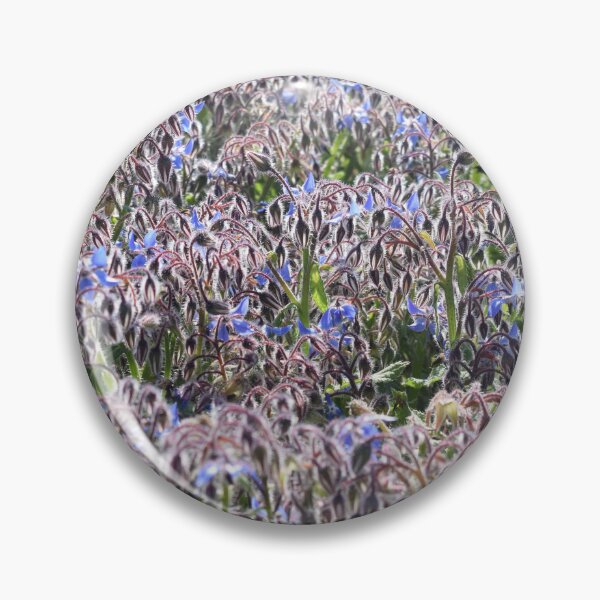 Item preview, Borage with blue flowers (Borago officinalis) 1 designed and sold by Furiarossa.