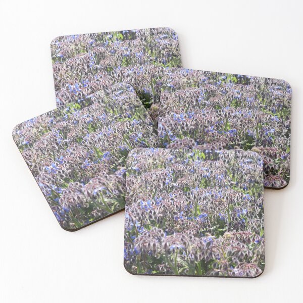 Item preview, Borage with blue flowers (Borago officinalis) 1 designed and sold by Furiarossa.