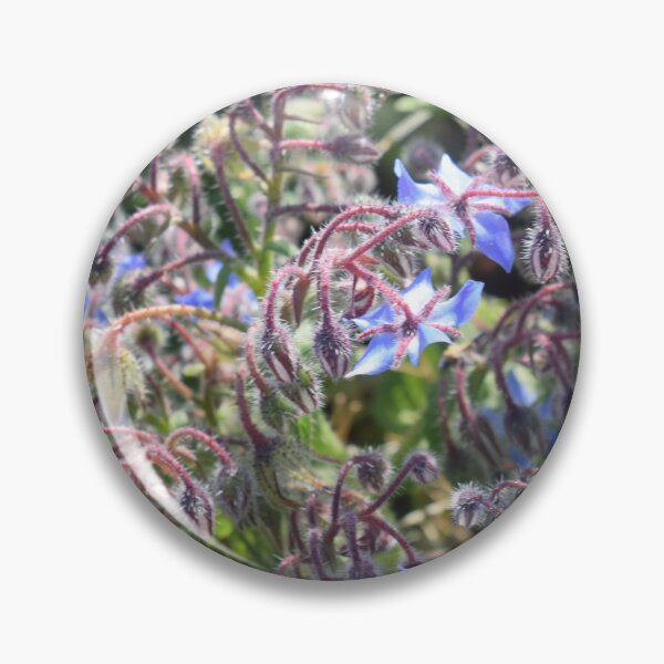 Item preview, Borage with blue flowers (Borago officinalis) 2 designed and sold by Furiarossa.