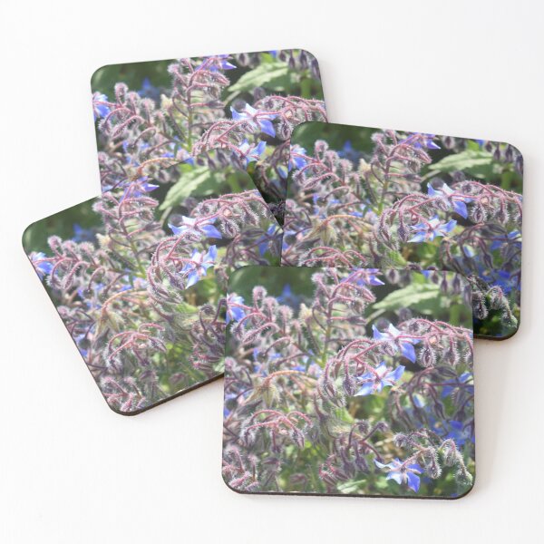 Item preview, Borage with blue flowers (Borago officinalis) 2 designed and sold by Furiarossa.
