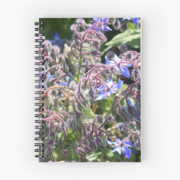 Item preview, Borage with blue flowers (Borago officinalis) 2 designed and sold by Furiarossa.