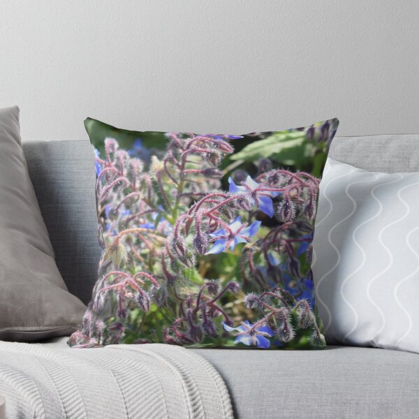 Item preview, Borage with blue flowers (Borago officinalis) 2 designed and sold by Furiarossa.
