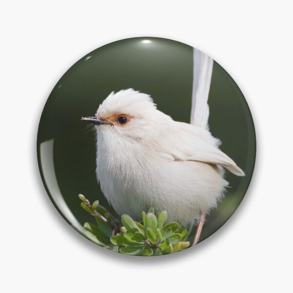 Item preview, White Fairywren designed and sold by DiomediaDesigns.