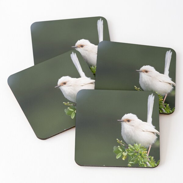 Item preview, White Fairywren designed and sold by DiomediaDesigns.