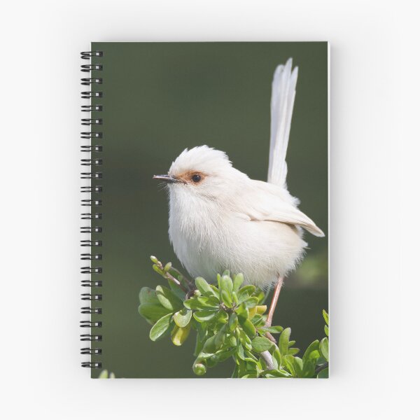 Item preview, White Fairywren designed and sold by DiomediaDesigns.