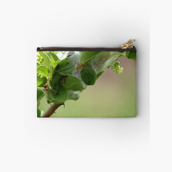 Item preview, Red ants nest in the leaves. designed and sold by VgBingi.