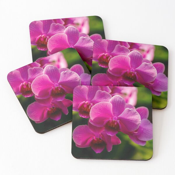 Item preview, Pink Orchid Flower designed and sold by Dalyndigital Photography.