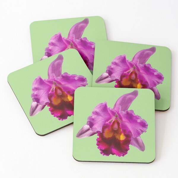Item preview, Beautiful Pink Orchid Flower designed and sold by Dalyndigital Photography.