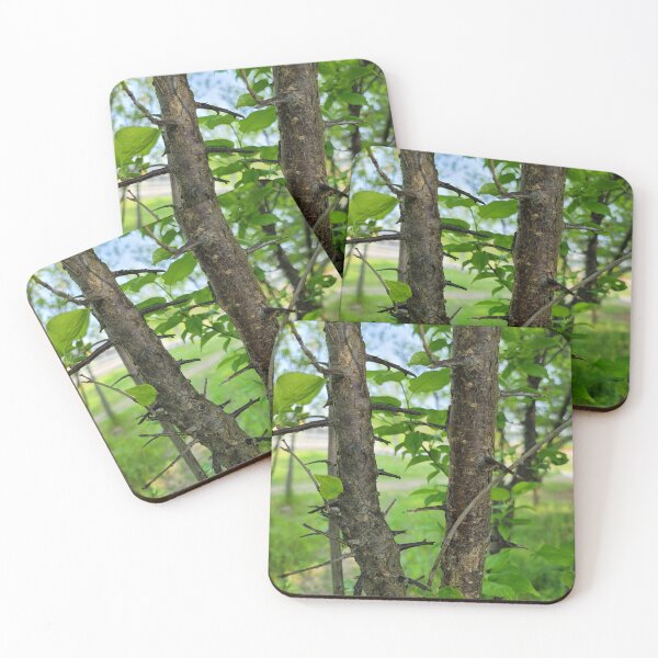 Item preview, A thorn tree on the weir of the Yeongsan River next to the Sports Complex in Buk-gu, Gwangju,korea designed and sold by human8891.