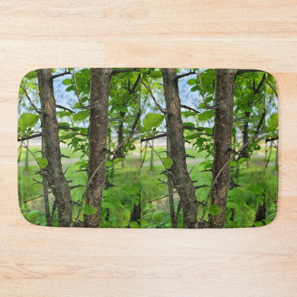 Item preview, A thorn tree on the weir of the Yeongsan River next to the Sports Complex in Buk-gu, Gwangju,korea designed and sold by human8891.