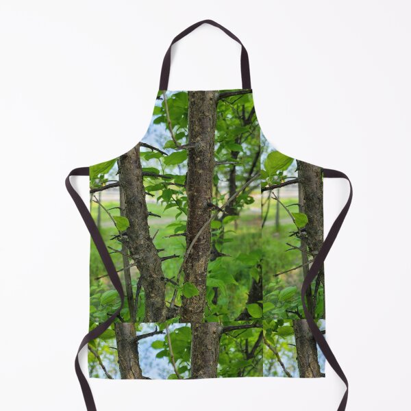 Item preview, A thorn tree on the weir of the Yeongsan River next to the Sports Complex in Buk-gu, Gwangju,korea designed and sold by human8891.
